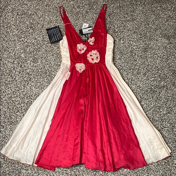 Celyn B. Elisabetta Franchi Red and Cream Pleated Embellished Mini Dress - Picture 5 of 9